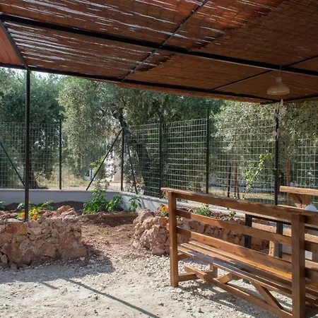 Daire Panoramic View House *